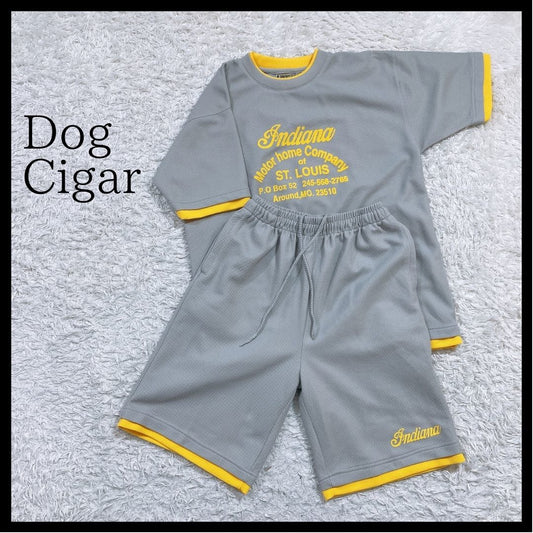 メンズM Dog Cigar セットアップ Tシャツ ハーフパンツ グレー 灰色 イエロー 黄 訳アリ品 半袖 ウエストゴム ドッグシガー 【25667】