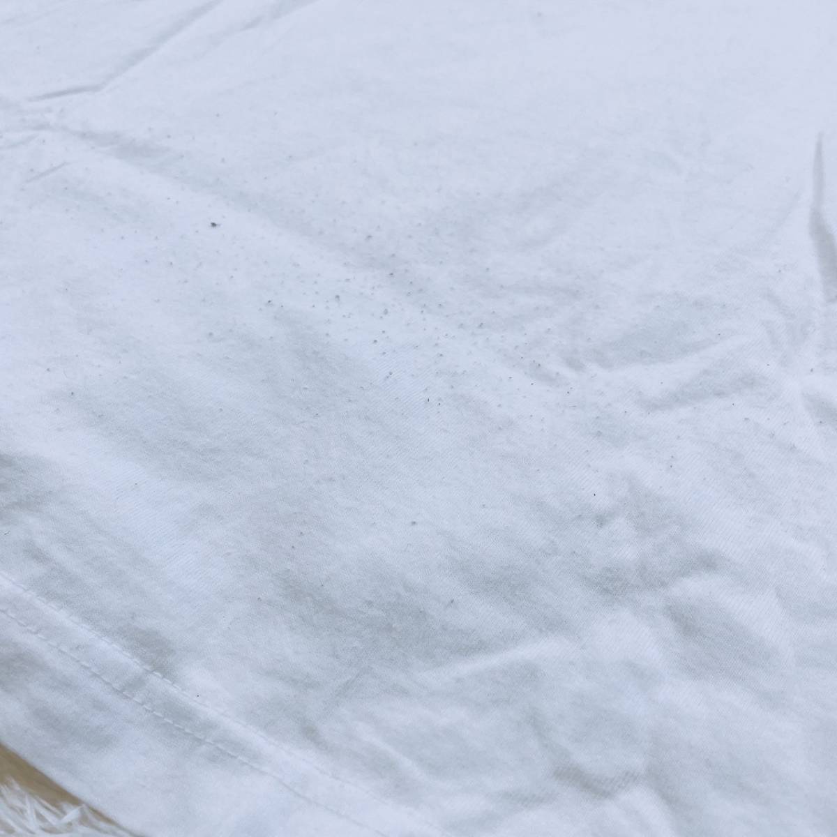メンズL Hanes トップス シャツ 半袖シャツ Tシャツ 半袖Tシャツ カジュアルシャツ ホワイト 無地 丸ネック シンプル ヘインズ 【21414】